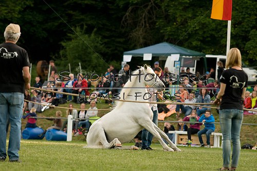 (c)SimoneHomberg_Ponyfest_Schauprogramm_20150606_0337
