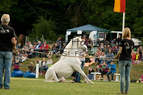 (c)SimoneHomberg_Ponyfest_Schauprogramm_20150606_0338