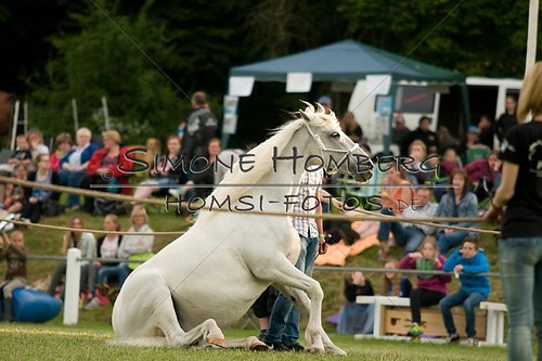 (c)SimoneHomberg_Ponyfest_Schauprogramm_20150606_0339