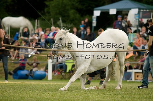 (c)SimoneHomberg_Ponyfest_Schauprogramm_20150606_0342