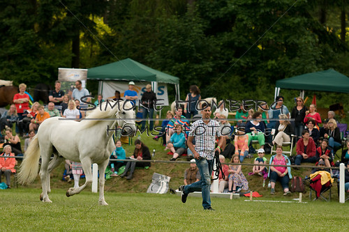 (c)SimoneHomberg_Ponyfest_Schauprogramm_20150606_0348