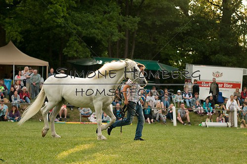 (c)SimoneHomberg_Ponyfest_Schauprogramm_20150606_0351