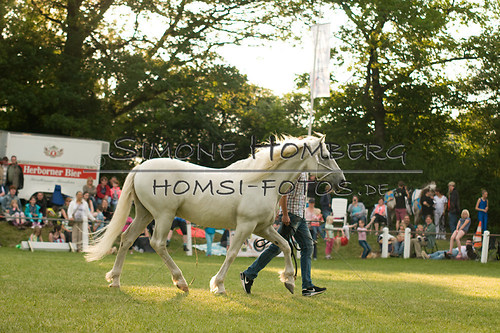 (c)SimoneHomberg_Ponyfest_Schauprogramm_20150606_0352