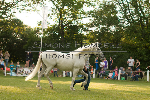(c)SimoneHomberg_Ponyfest_Schauprogramm_20150606_0353