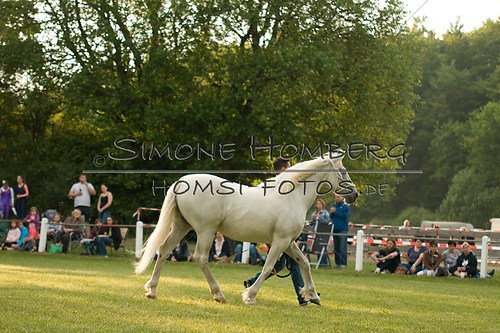 (c)SimoneHomberg_Ponyfest_Schauprogramm_20150606_0355