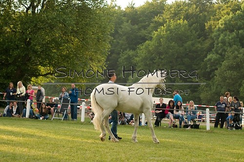 (c)SimoneHomberg_Ponyfest_Schauprogramm_20150606_0356