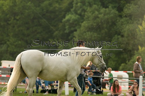 (c)SimoneHomberg_Ponyfest_Schauprogramm_20150606_0357