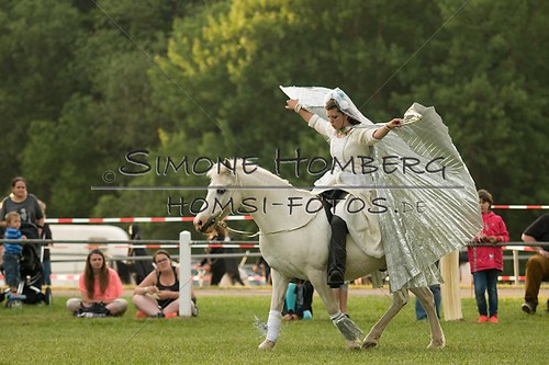 (c)SimoneHomberg_Ponyfest_Schauprogramm_20150606_0358