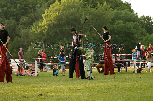 (c)SimoneHomberg_Ponyfest_Schauprogramm_20150606_0360