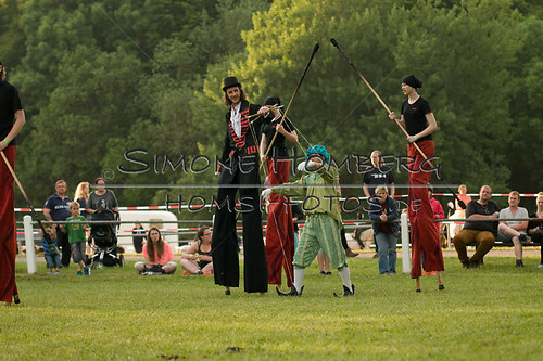 (c)SimoneHomberg_Ponyfest_Schauprogramm_20150606_0361