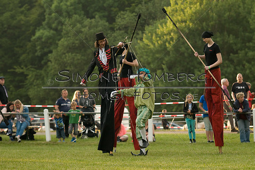 (c)SimoneHomberg_Ponyfest_Schauprogramm_20150606_0362