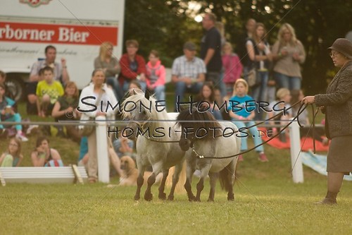 (c)SimoneHomberg_Ponyfest_Schauprogramm_20150606_0366