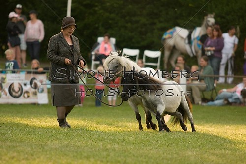 (c)SimoneHomberg_Ponyfest_Schauprogramm_20150606_0368