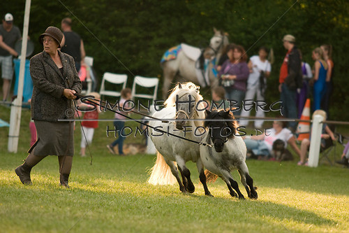 (c)SimoneHomberg_Ponyfest_Schauprogramm_20150606_0370