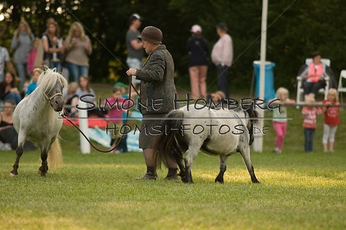 (c)SimoneHomberg_Ponyfest_Schauprogramm_20150606_0371