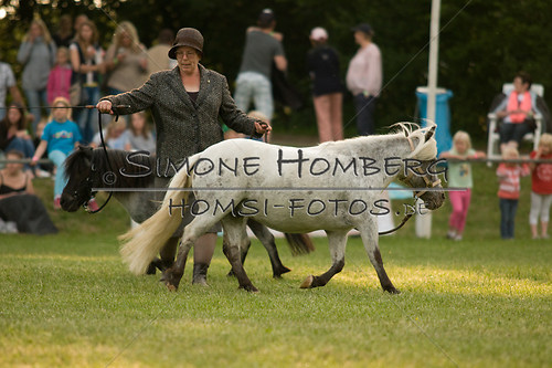 (c)SimoneHomberg_Ponyfest_Schauprogramm_20150606_0372