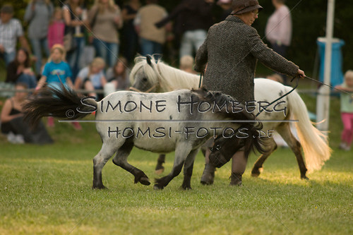 (c)SimoneHomberg_Ponyfest_Schauprogramm_20150606_0373