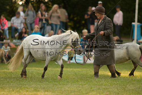 (c)SimoneHomberg_Ponyfest_Schauprogramm_20150606_0375