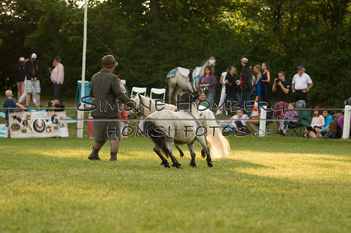 (c)SimoneHomberg_Ponyfest_Schauprogramm_20150606_0377