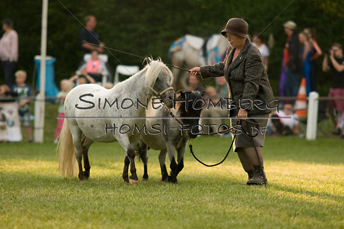 (c)SimoneHomberg_Ponyfest_Schauprogramm_20150606_0381