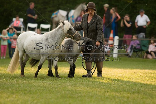 (c)SimoneHomberg_Ponyfest_Schauprogramm_20150606_0382