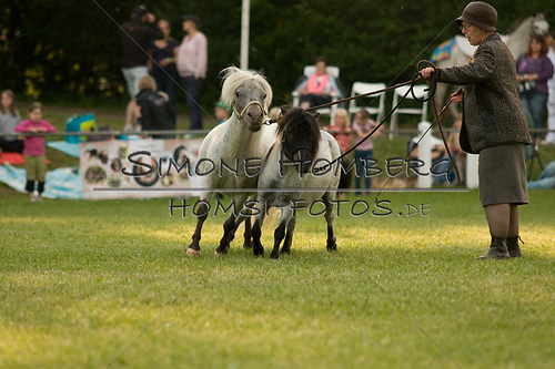 (c)SimoneHomberg_Ponyfest_Schauprogramm_20150606_0383