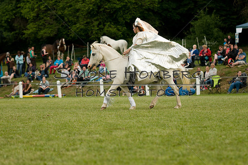 (c)SimoneHomberg_Ponyfest_Schauprogramm_20150606_0386