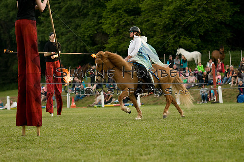 (c)SimoneHomberg_Ponyfest_Schauprogramm_20150606_0387