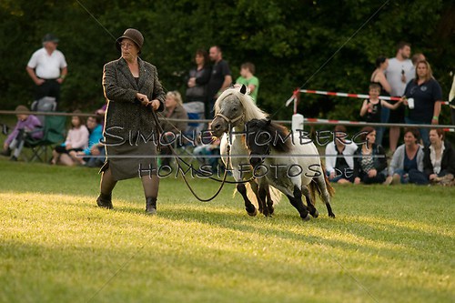 (c)SimoneHomberg_Ponyfest_Schauprogramm_20150606_0389