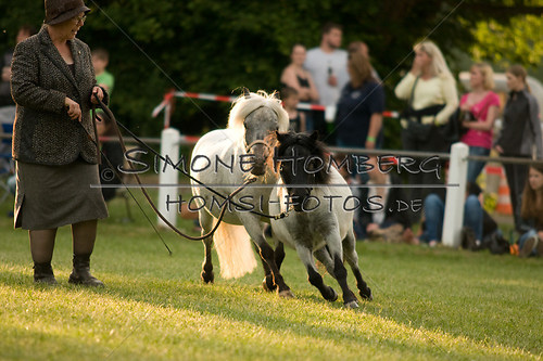(c)SimoneHomberg_Ponyfest_Schauprogramm_20150606_0390