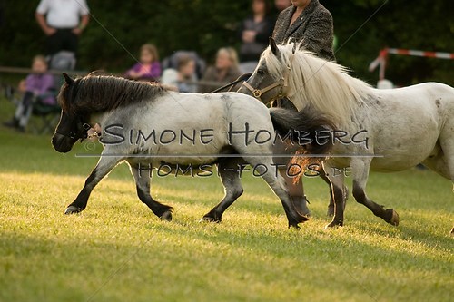 (c)SimoneHomberg_Ponyfest_Schauprogramm_20150606_0391