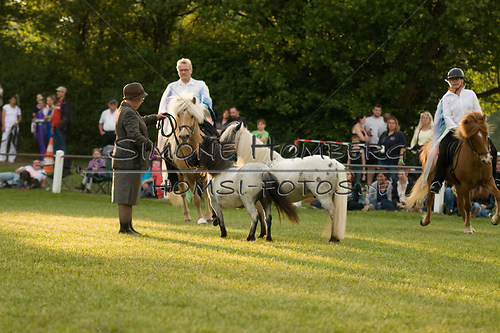 (c)SimoneHomberg_Ponyfest_Schauprogramm_20150606_0392