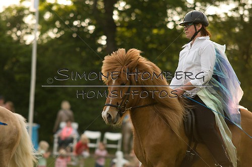 (c)SimoneHomberg_Ponyfest_Schauprogramm_20150606_0393