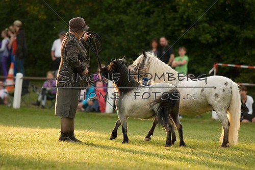 (c)SimoneHomberg_Ponyfest_Schauprogramm_20150606_0394
