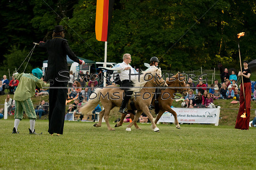 (c)SimoneHomberg_Ponyfest_Schauprogramm_20150606_0399