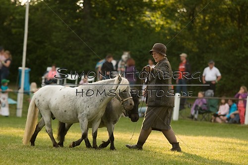 (c)SimoneHomberg_Ponyfest_Schauprogramm_20150606_0400
