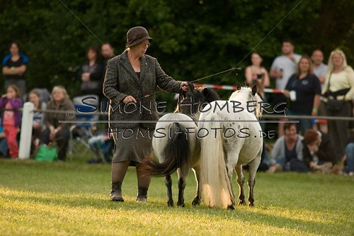 (c)SimoneHomberg_Ponyfest_Schauprogramm_20150606_0401