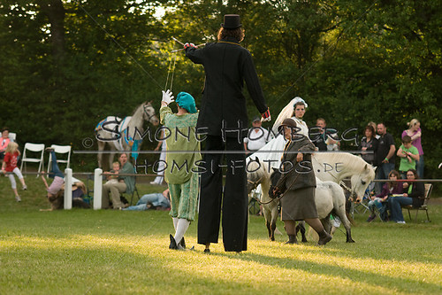 (c)SimoneHomberg_Ponyfest_Schauprogramm_20150606_0402