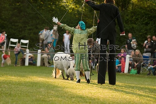 (c)SimoneHomberg_Ponyfest_Schauprogramm_20150606_0404