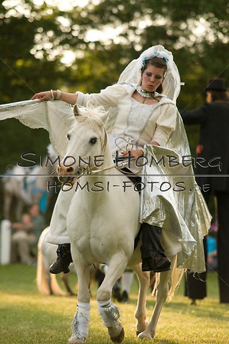 (c)SimoneHomberg_Ponyfest_Schauprogramm_20150606_0407