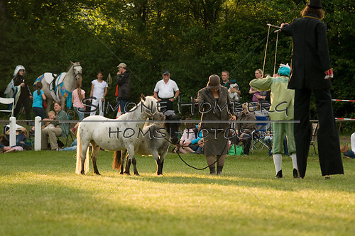 (c)SimoneHomberg_Ponyfest_Schauprogramm_20150606_0410
