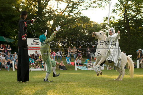 (c)SimoneHomberg_Ponyfest_Schauprogramm_20150606_0421