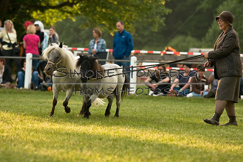 (c)SimoneHomberg_Ponyfest_Schauprogramm_20150606_0422