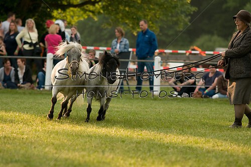 (c)SimoneHomberg_Ponyfest_Schauprogramm_20150606_0423
