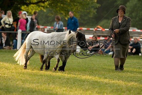 (c)SimoneHomberg_Ponyfest_Schauprogramm_20150606_0424