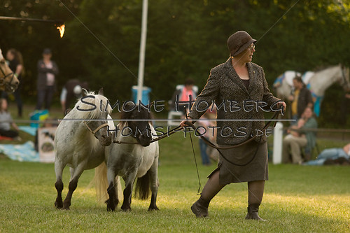 (c)SimoneHomberg_Ponyfest_Schauprogramm_20150606_0432