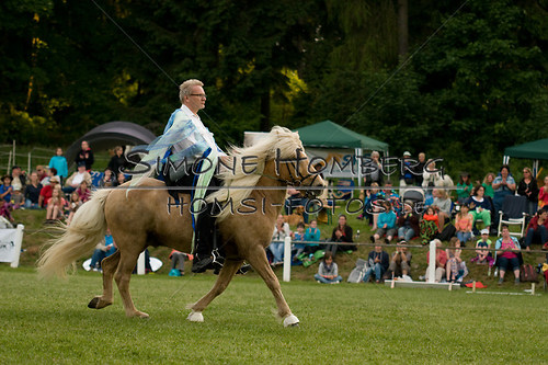 (c)SimoneHomberg_Ponyfest_Schauprogramm_20150606_0434