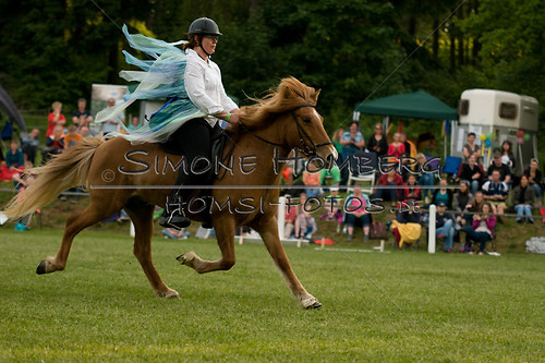 (c)SimoneHomberg_Ponyfest_Schauprogramm_20150606_0440