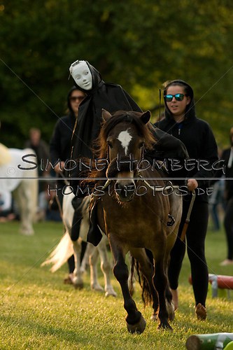 (c)SimoneHomberg_Ponyfest_Schauprogramm_20150606_0444