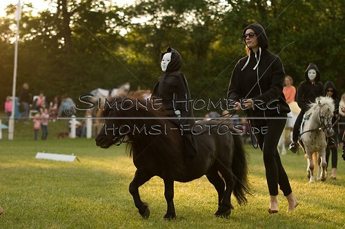 (c)SimoneHomberg_Ponyfest_Schauprogramm_20150606_0445